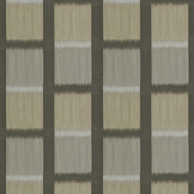 GRAPHIC IKAT