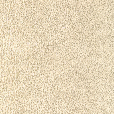 KRAVET DESIGN