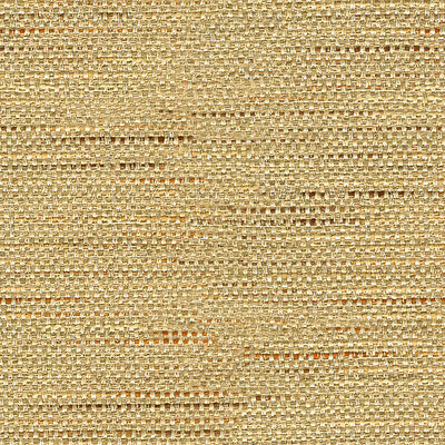 KRAVET BASICS