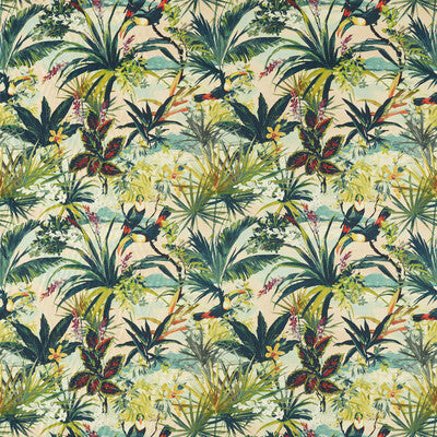 TOUCAN