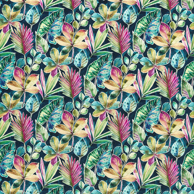 RAINFOREST