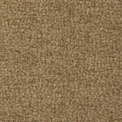 BARTON CHENILLE