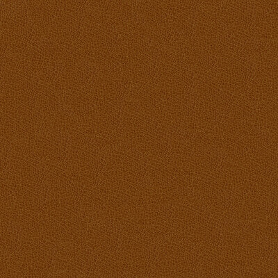 KRAVET DESIGN