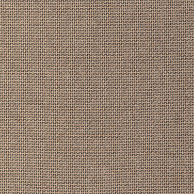 EASTON WOOL