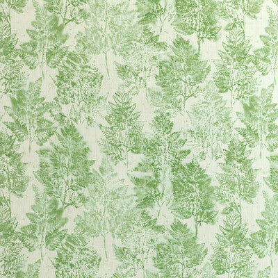 HEIKI FERN