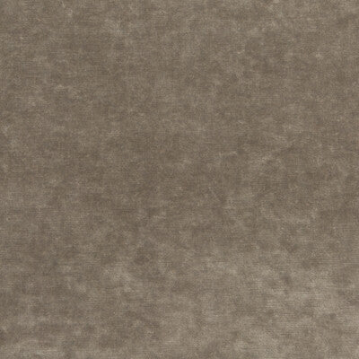 Kravet Couture Queen's Velvet Texture Fabric – Luxury Viscose Blend Velvet Upholstery Fabric (55.16" Width)
