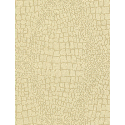 KRAVET DESIGN