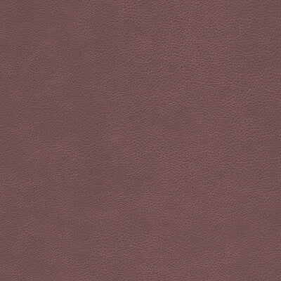 KRAVET DESIGN