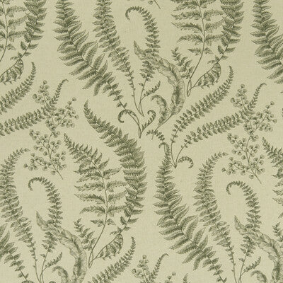 FOLIUM
