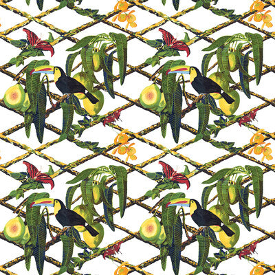 TUCAN