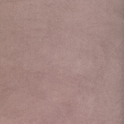 ROCCO VELVET