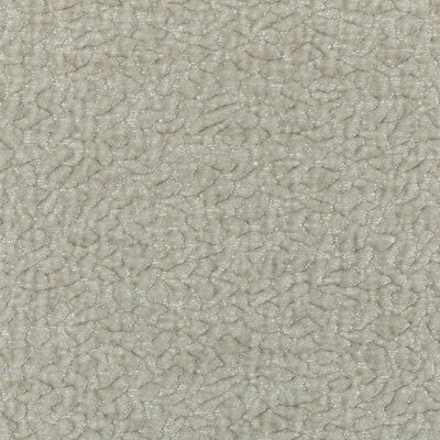BARTON CHENILLE