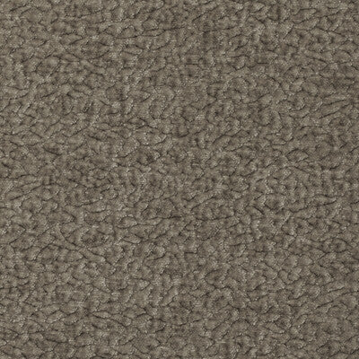 BARTON CHENILLE