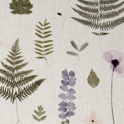 HERBARIUM