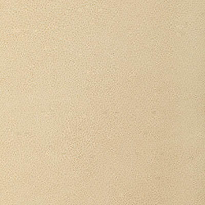 KRAVET DESIGN