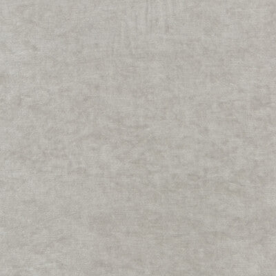 Kravet Couture Queen's Velvet Texture Fabric – Luxury Viscose Blend Velvet Upholstery Fabric (55.16" Width)