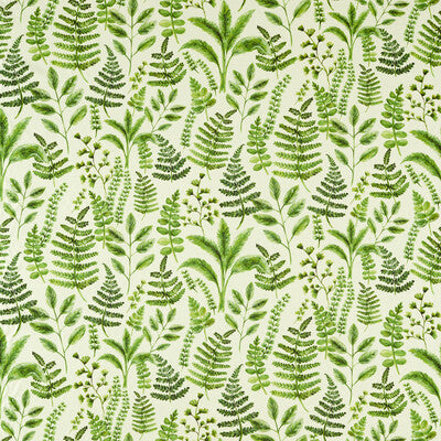 BRACKEN
