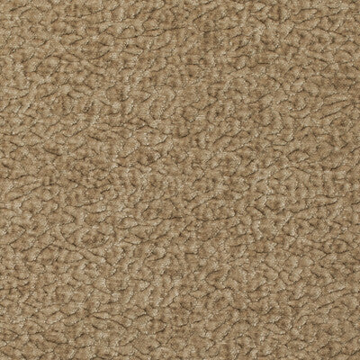 BARTON CHENILLE