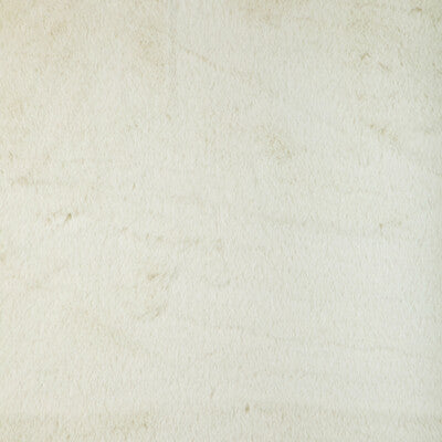 KRAVET BASICS
