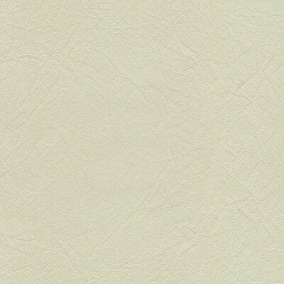 L-EQUINE