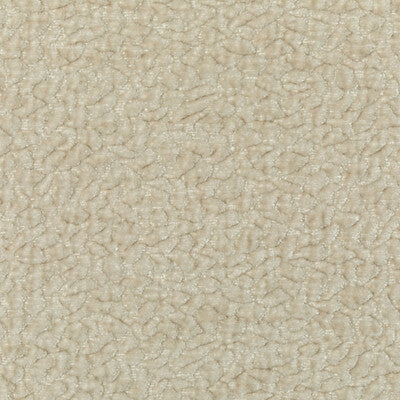 BARTON CHENILLE