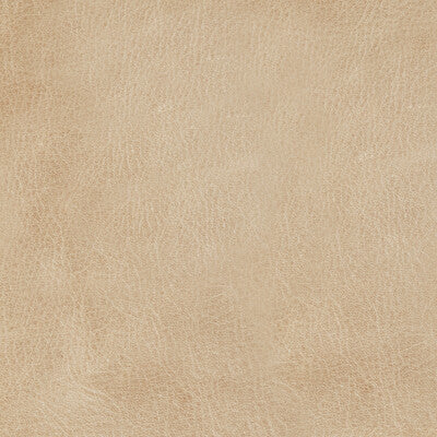 KRAVET DESIGN