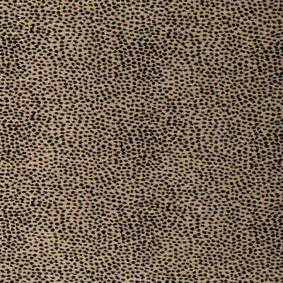 KRAVET DESIGN