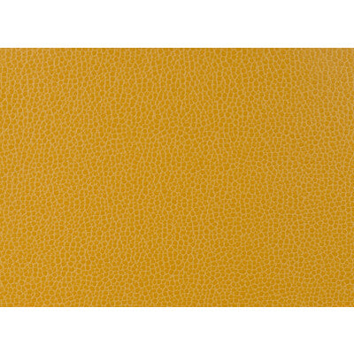 KRAVET DESIGN