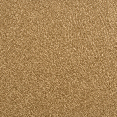 L-COUNTRY