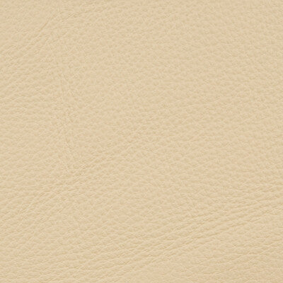 L-DELUXE