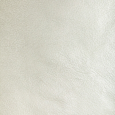 L-LUSTER