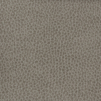 KRAVET BASICS