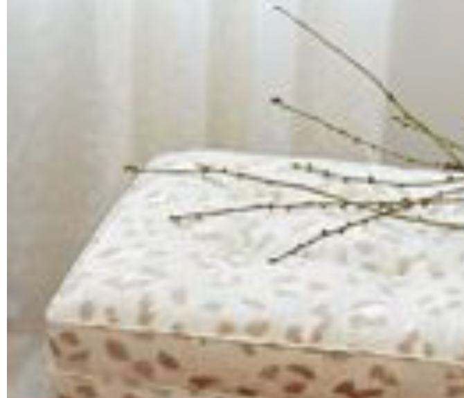 LEOPARD LINEN SHEER - Ivory
