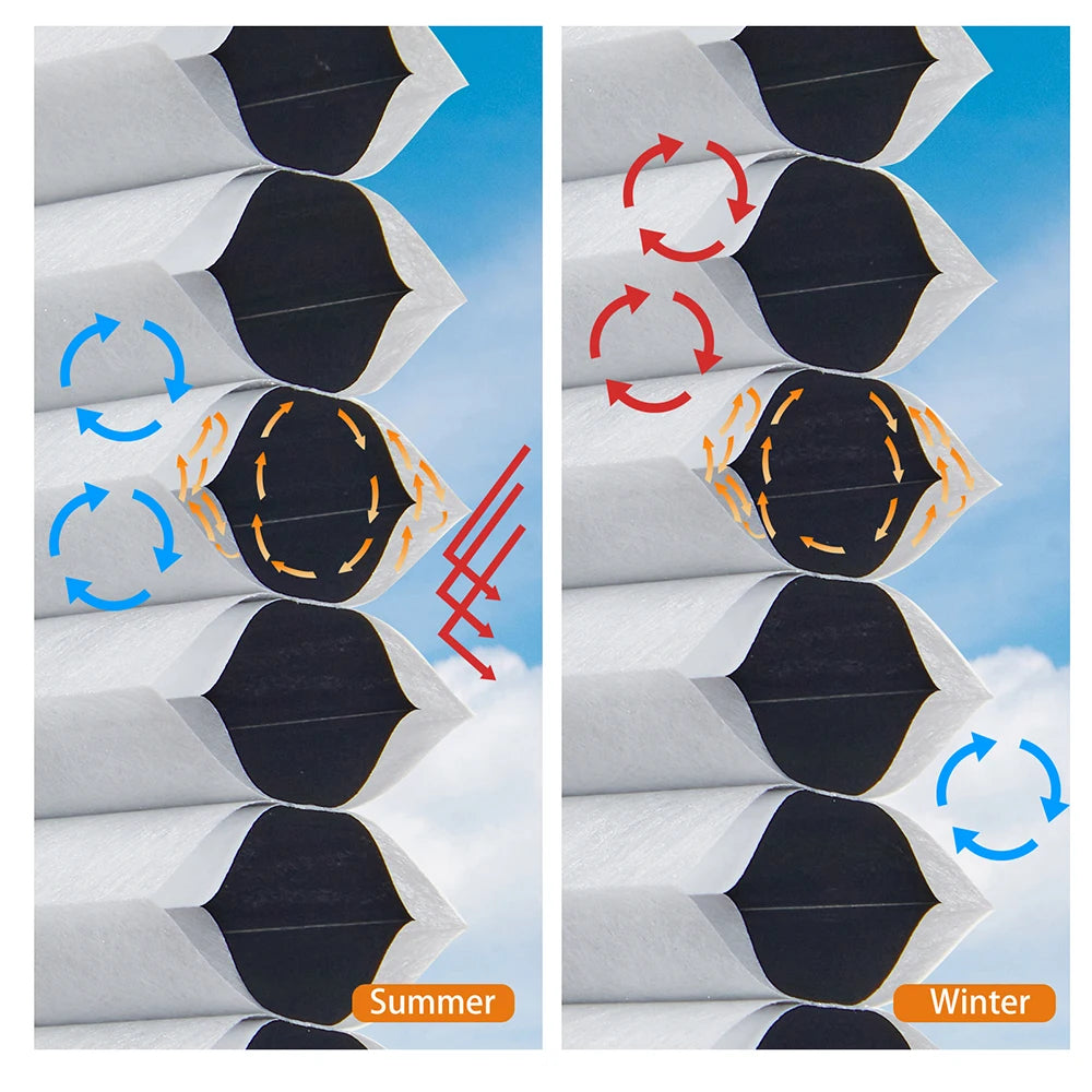 S36cefe7863ef42528408244658008db9n