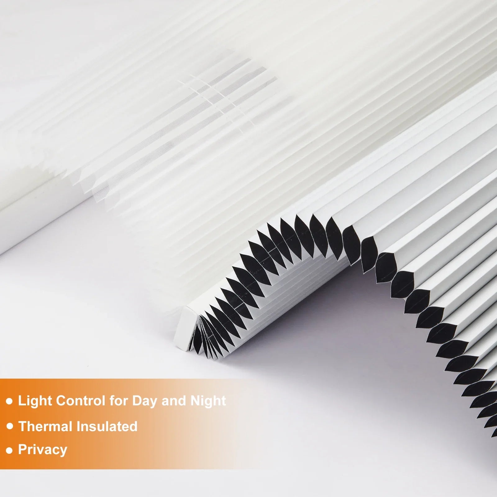 S800c5b2b4bda4d17872a6f90c822e690y