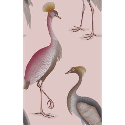 GARZAS