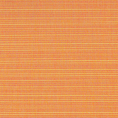 KRAVET BASICS