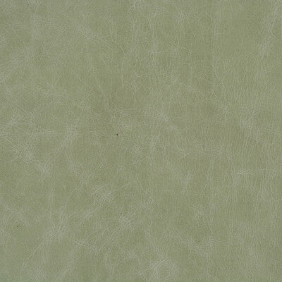 KRAVET BASICS