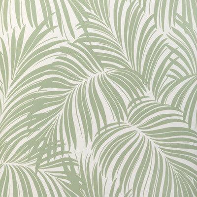 PALM LEAF WP
