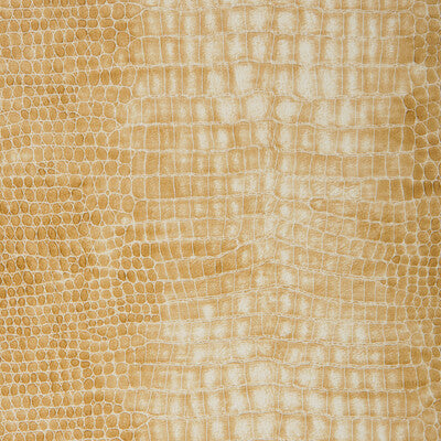 KRAVET DESIGN