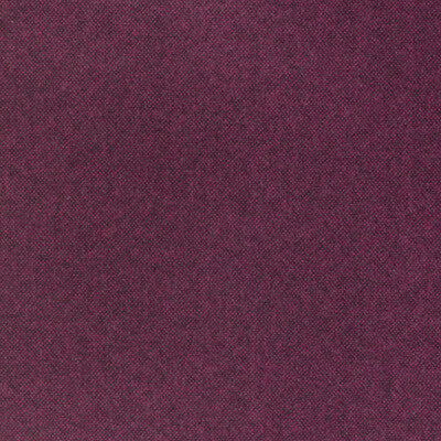 EASTON WOOL