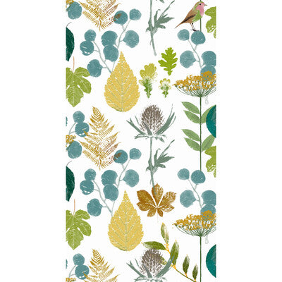HERBARIUM