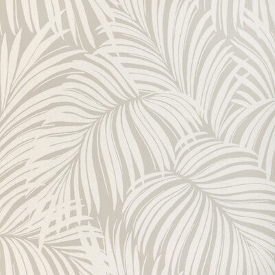 PALM LEAF WP