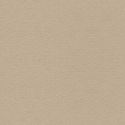 Kravet Design Ultrasuede Green Texture Fabric/ Beige Polyester Blend Upholstery Fabric (55” Width)