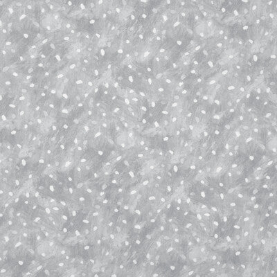 STARRY SKY