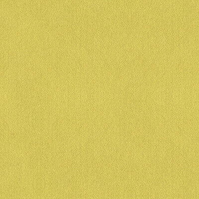 ULTRASUEDE GREEN