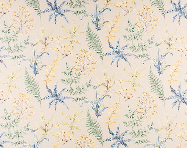 WETHERSFIELD FERN
