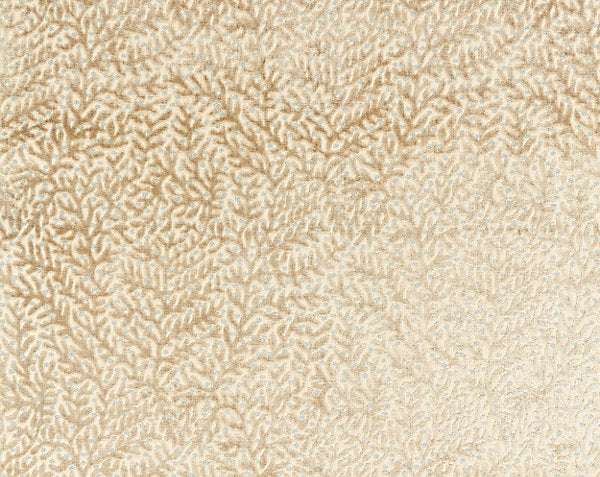 CORALLINA VELVET