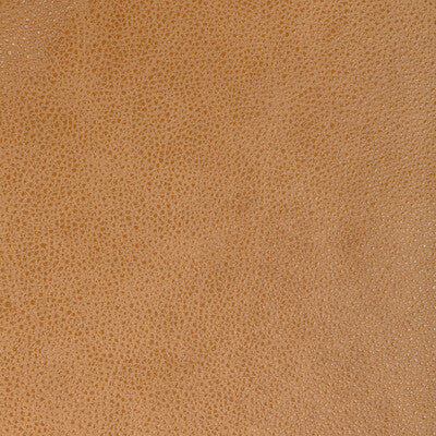 KRAVET DESIGN