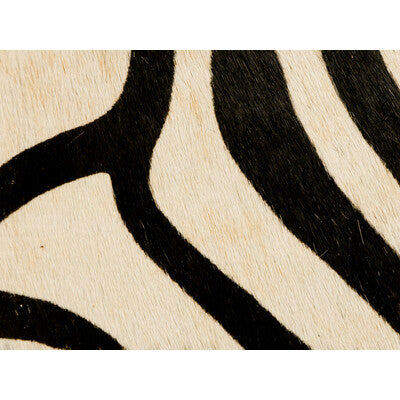PAINTED ZEBRA